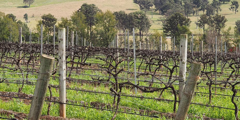 Bondi Shooters Training Probe Sparks Urgent Police Action