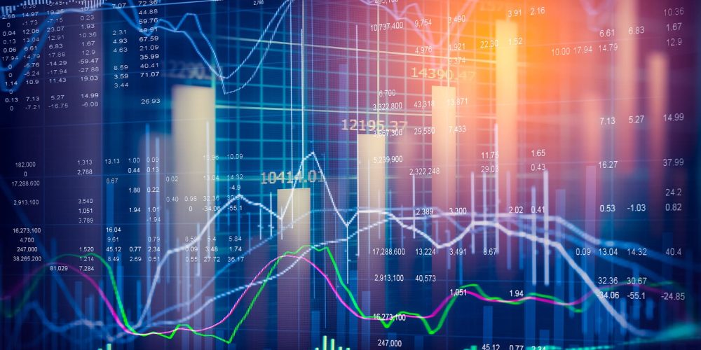 A Year of Gains and Policy Shifts