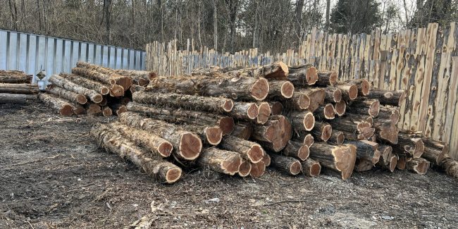 CedarSawmill.com – Cedar Wood – Cedar Lumber