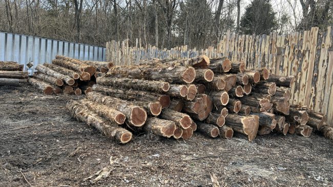CedarSawmill.com – Cedar Wood – Cedar Lumber