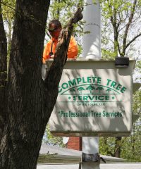 Complete Tree Service